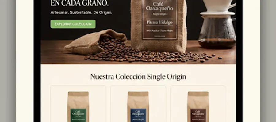Ecommerce con Shopify desarrollado por DevStoreMX