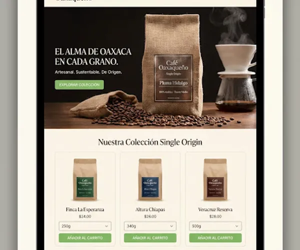 Ejemplo de ecommerce con Shopify desarrollado por DevStoreMX
